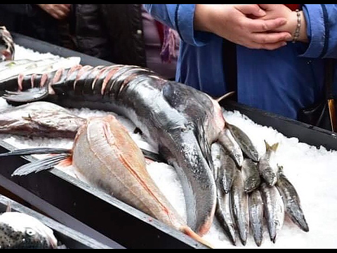 Жители на Враца се натровиха с риба на кулинарен фестивал