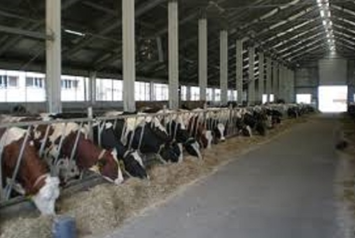 3000 лева заплата за кравар без образование и опит, а няма желаещи