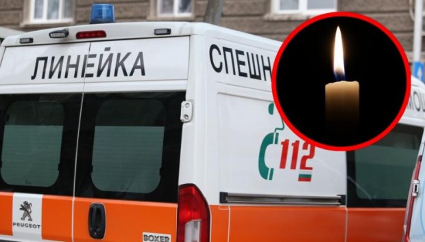 Кон уби 12-годишно момче в Монтанско