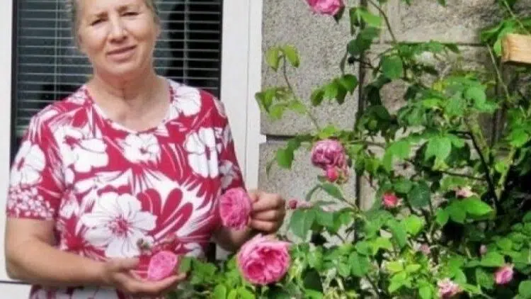 Лечителката на Ламбо: 3 клечки кибрит и морска сол пазят от болести и магии!