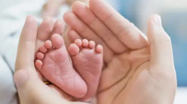 Бебета биват изоставени от родителите си в специални „кутии