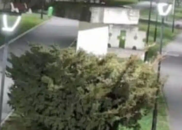 Хора се стичат на талази към Проваления камък в Славянка планина-Ето за какво помага