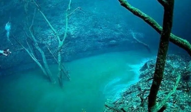 Голяма подводна река тече на дъното на Черно море