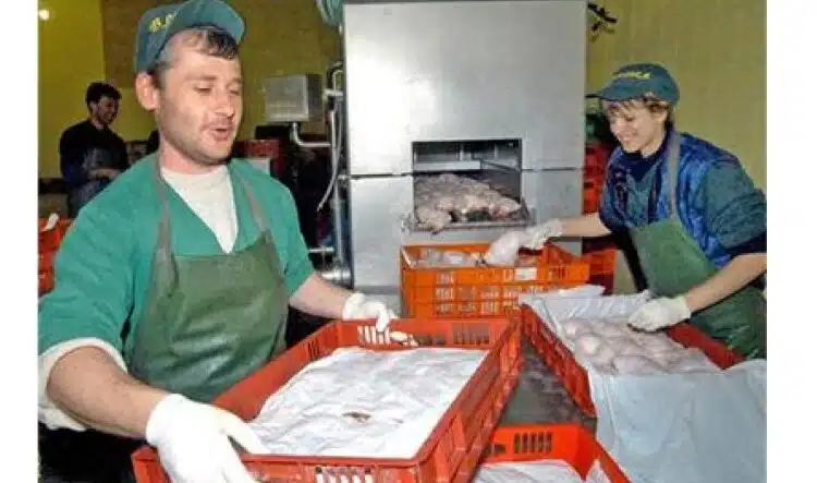 Клиент си купи месо от голям магазин и остана неприятно изненадан / СНИМКИ