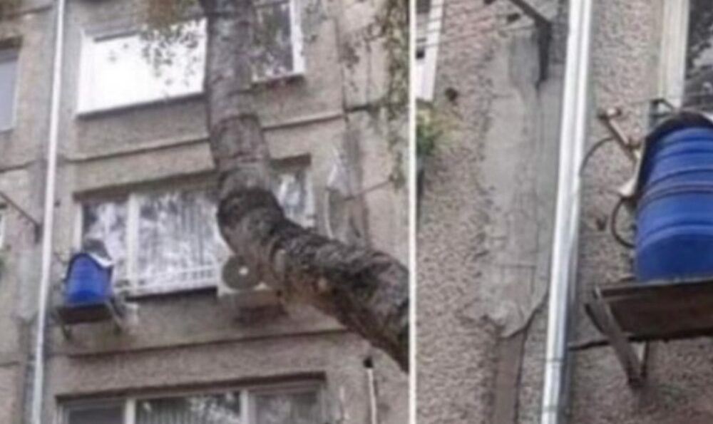 Монтираха зелето на блока