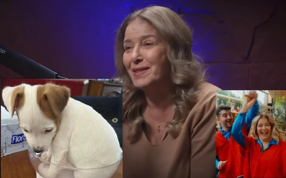 Катето Евро се притесни какво ще стане с тях, ако дойде най-лошото