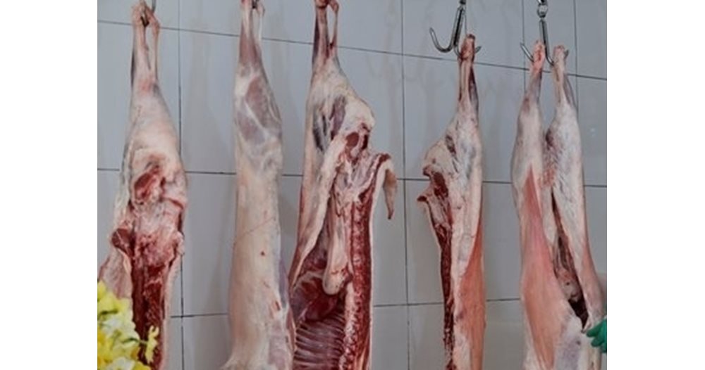Как да познаем прясно ли е агнешкото?