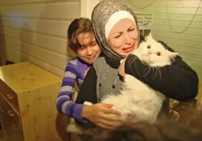 Котката, която обиколила половината земя, за да се върне при семейството си (ИСТОРИЯ
