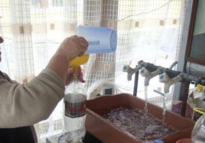 ЧУДЕСА И ВЯРА: Извор в с. Добрич възкресява смъртно болни, бездетни зачеват