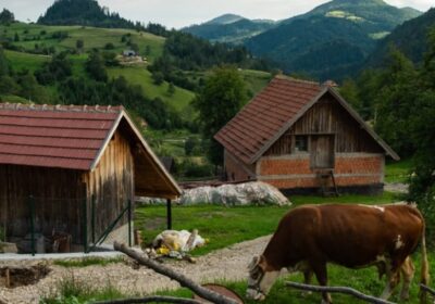 Продават къща от 70 кв.м и земя за 3000 евро