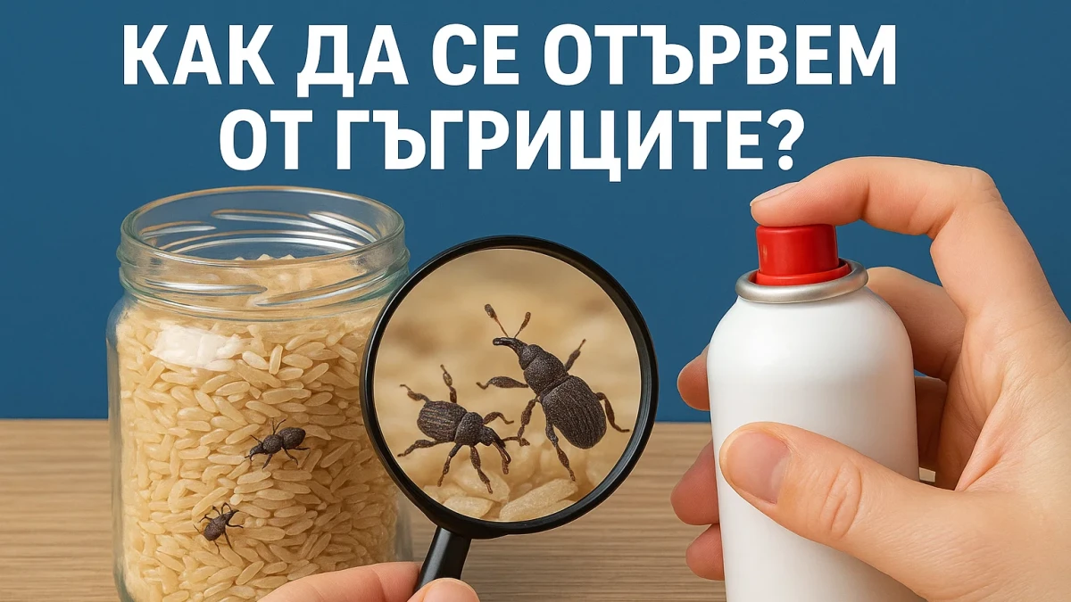 Съвети за домакини: Как да се справите с мушичките в боба, брашното, ориза