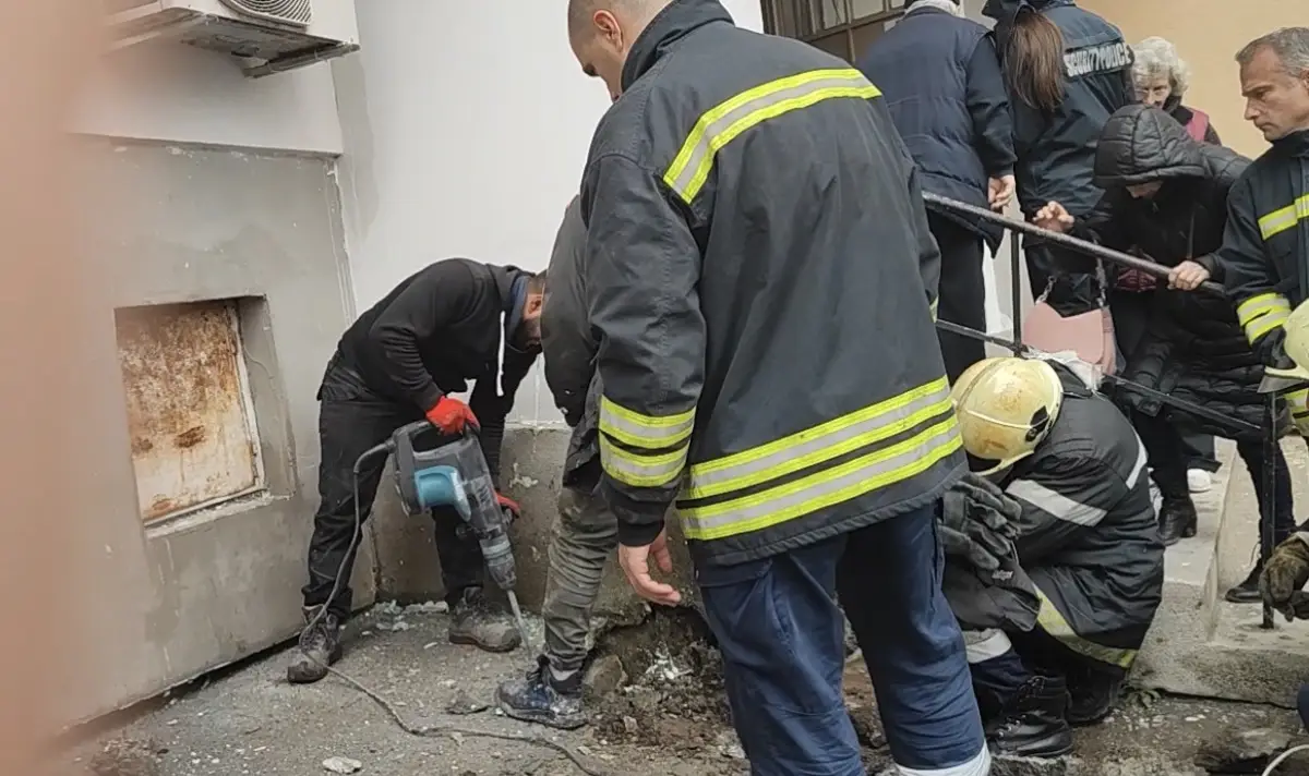 Строители зазидаха живо коте в стена в Бургас, полиция и пожарна спасиха животното след 9 дни