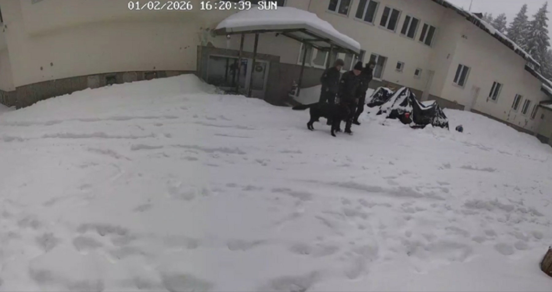 Открито е момичето от хижата на „Петрохан“, за което Калушев е писал на майка си