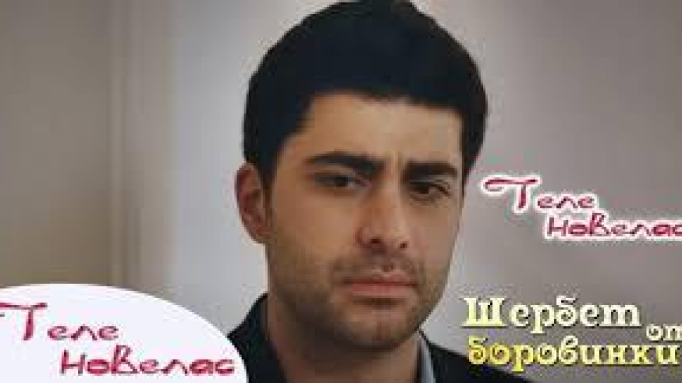 Как ще продължи “Шербет от боровинки” след Фатих