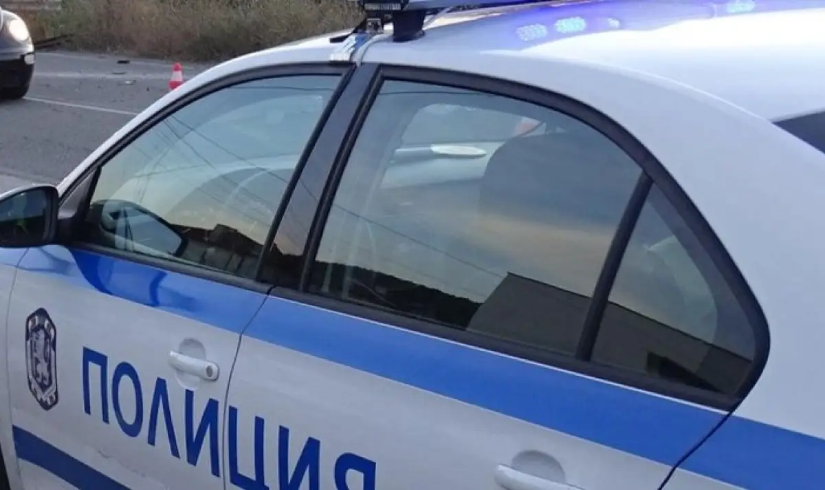 Мъж нападна полицай пред историческата сграда на Народното събрание в София