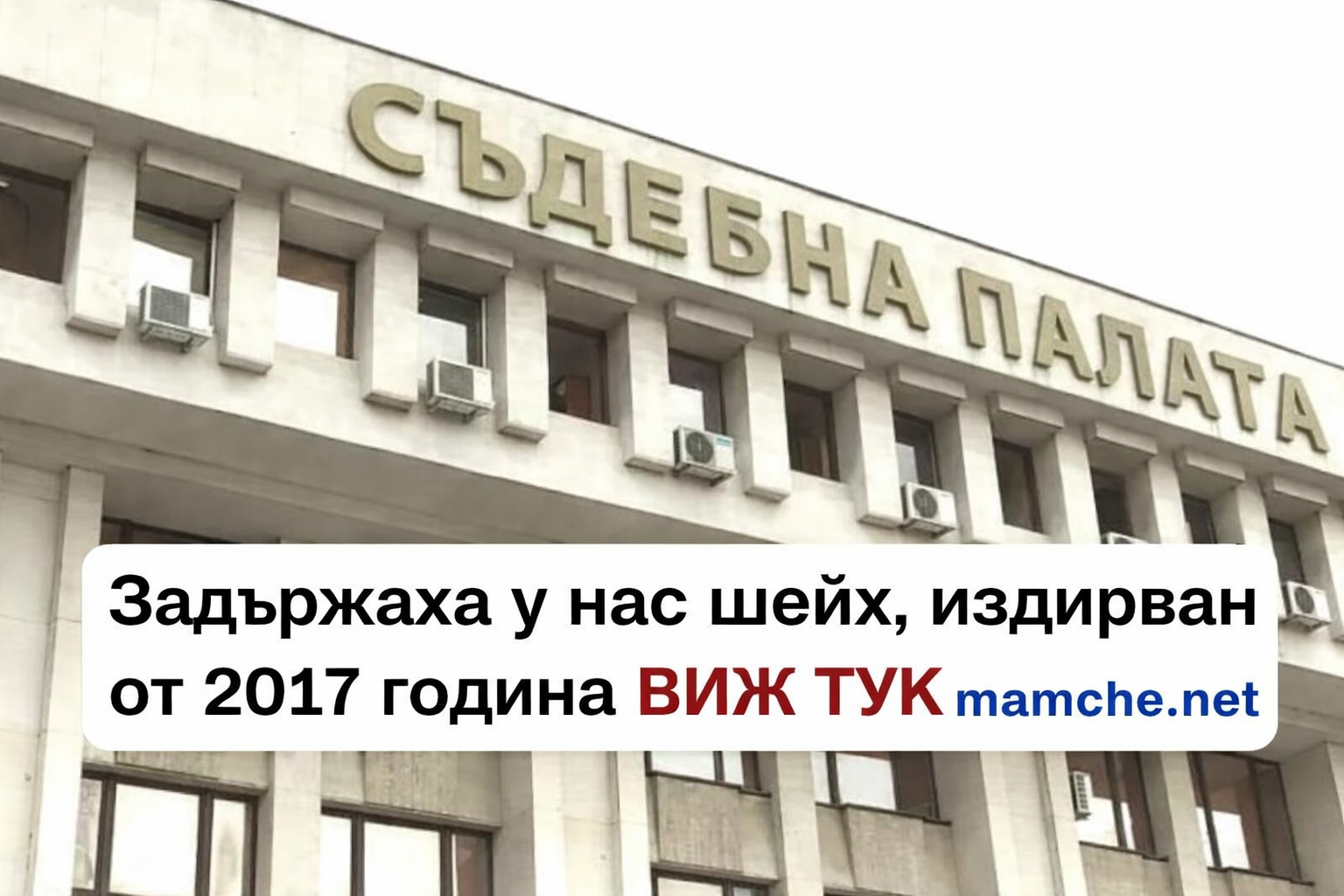 шейх