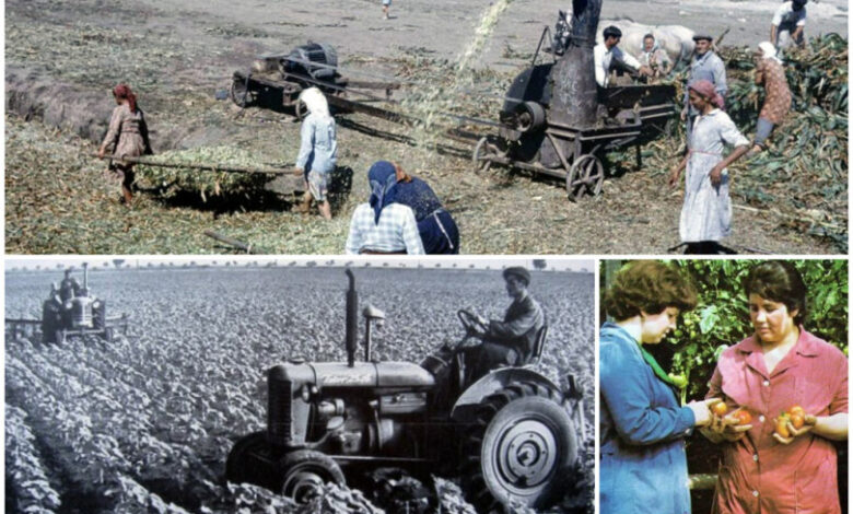 Международните позиции на българското земеделие преди 1989 г. А къде сме днес и защо?!