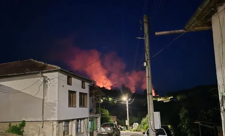 Гори голям пожар над село Илинденци